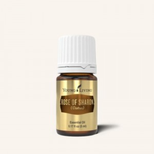 ROSE OF SHARON (Cistus) 岩蔷薇 (十金)